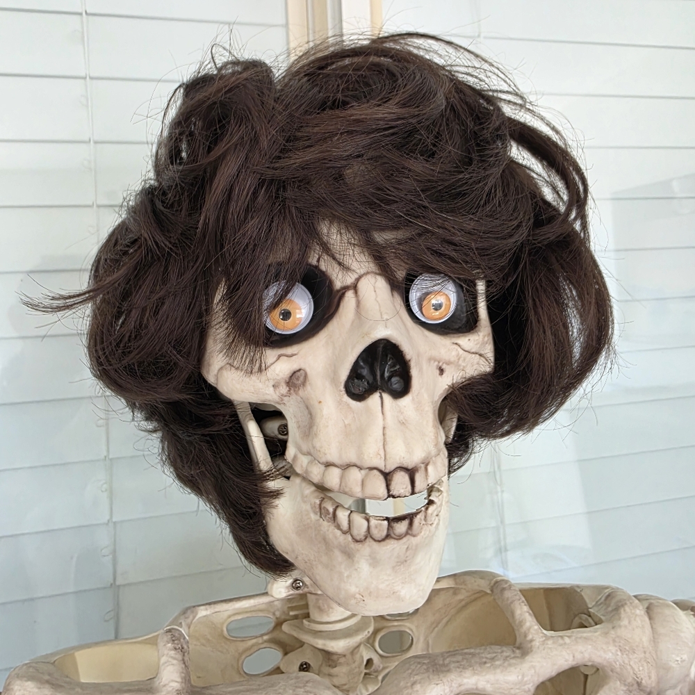 Elura Wig Short Brown Women's Hair